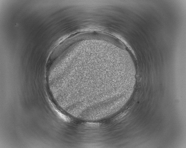 X0000063440437200602171835
