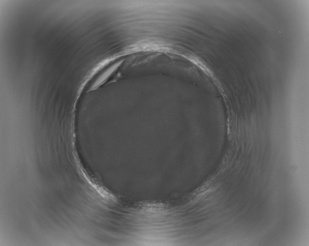 X0000063440438200602171835
