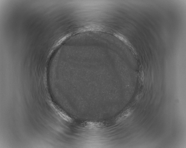 X0000063440442200602171835