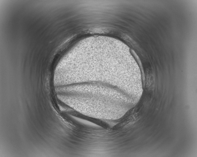 X0000063440444200602171835