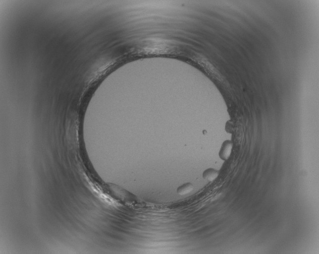 X0000063440446200602171835