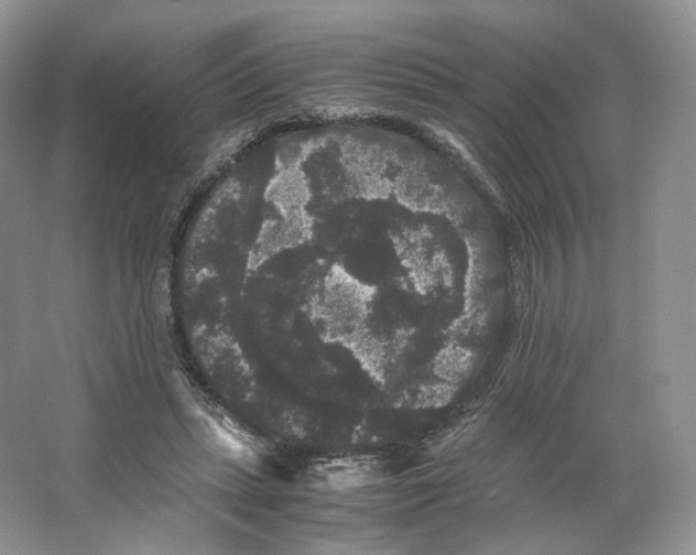 X0000063440447200602171835