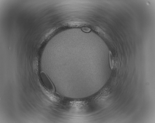 X0000063440448200602171835
