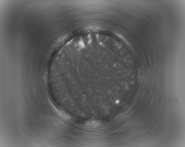 X0000063440451200602171835