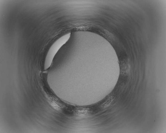 X0000063440456200602171835