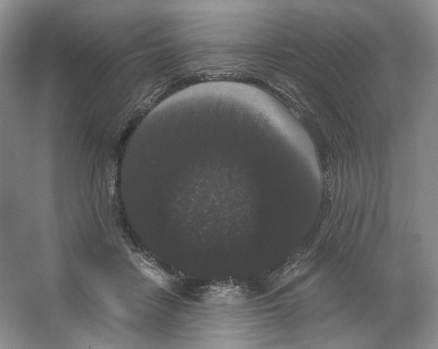 X0000063440458200602171835
