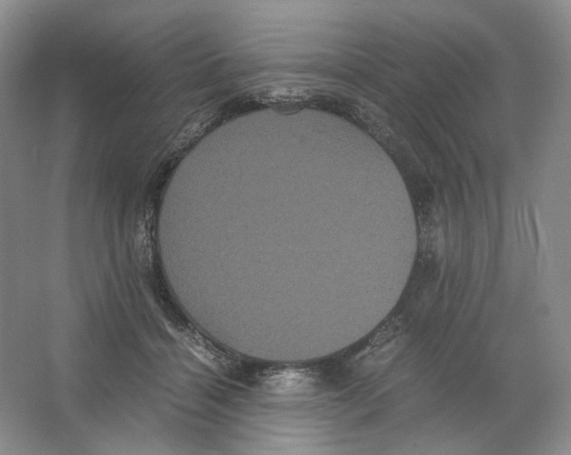 X0000063440460200602171835