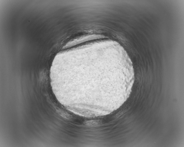 X0000063440461200602171835