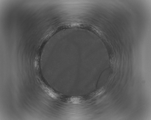 X0000063440462200602171835