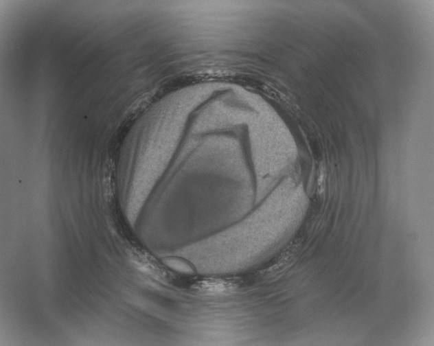 X0000063440464200602171835