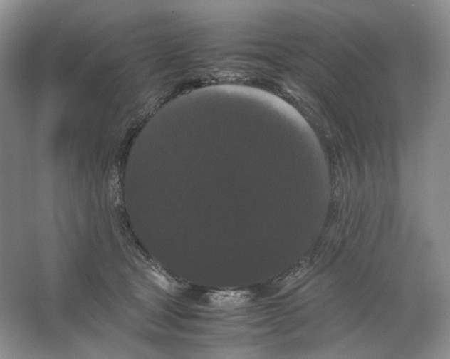 X0000063440465200602171835