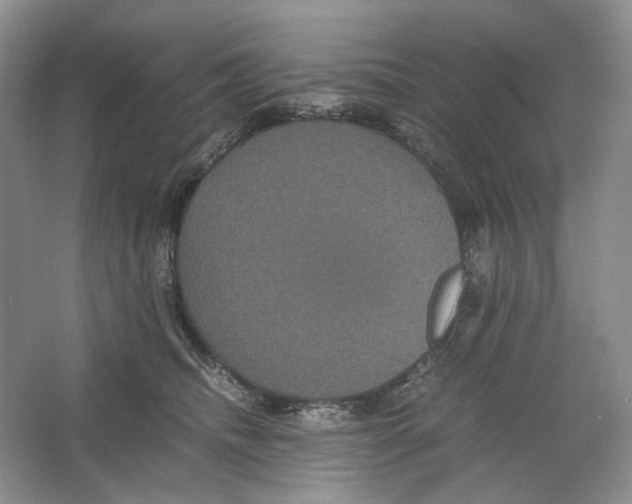 X0000063440468200602171835