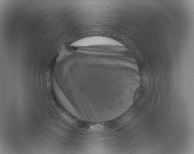 X0000063440470200602171835