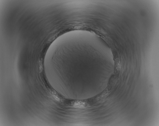 X0000063440471200602171835