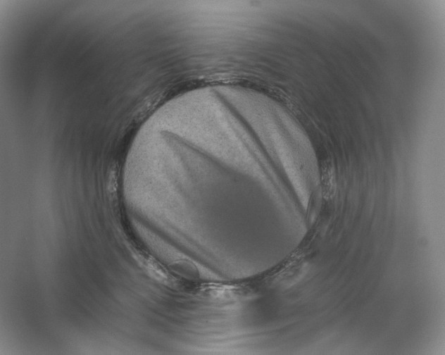 X0000063440472200602171835