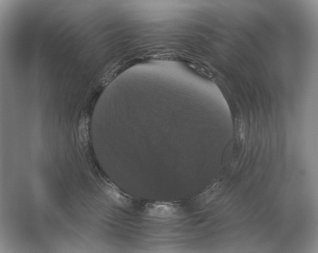 X0000063440475200602171835