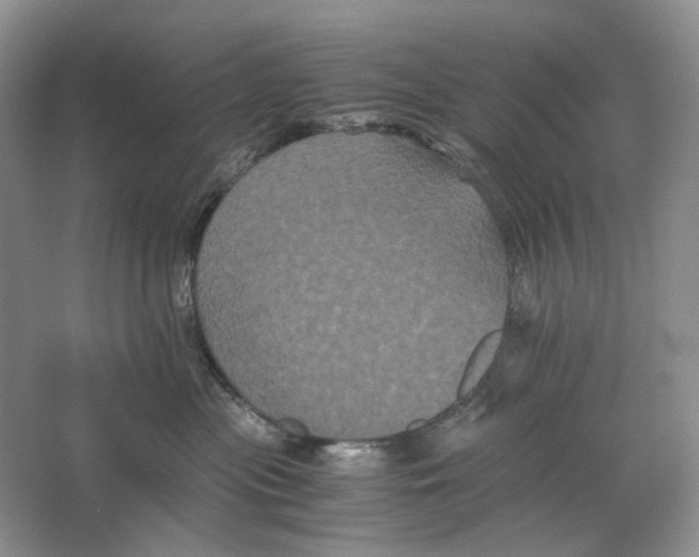 X0000063440477200602171835