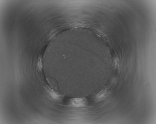 X0000063440479200602171835