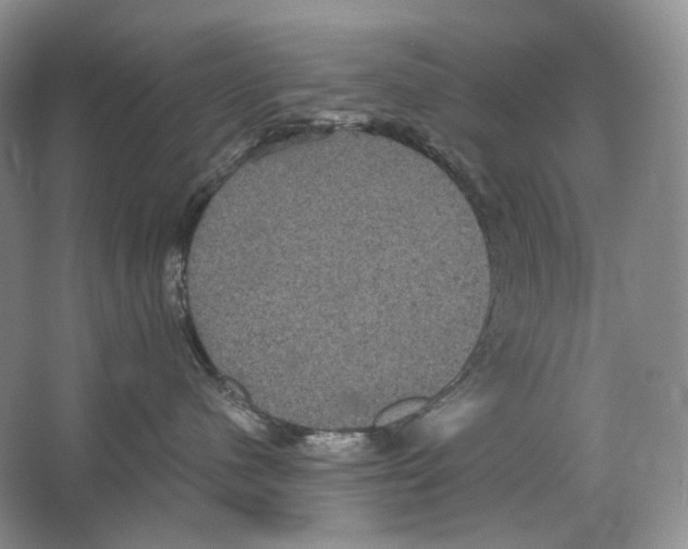 X0000063440480200602171835