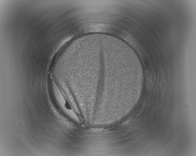 X0000063440482200602171834