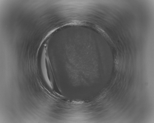 X0000063440484200602171834