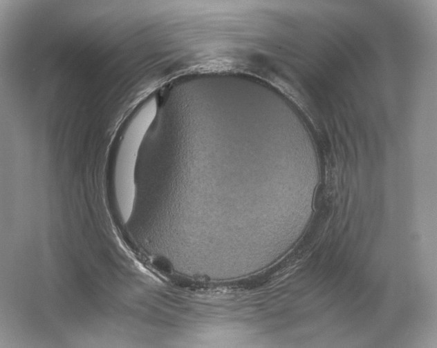 X0000063440485200602171834
