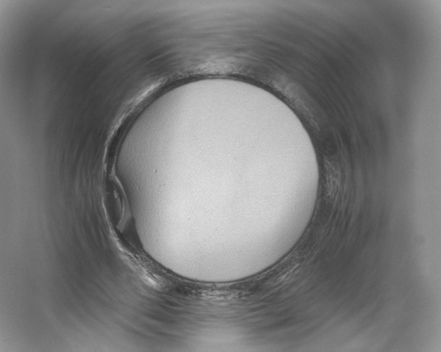 X0000063440486200602171834