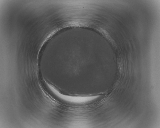 X0000063440488200602171834