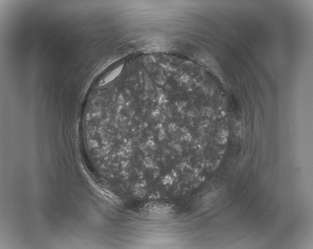X0000063440491200602171834