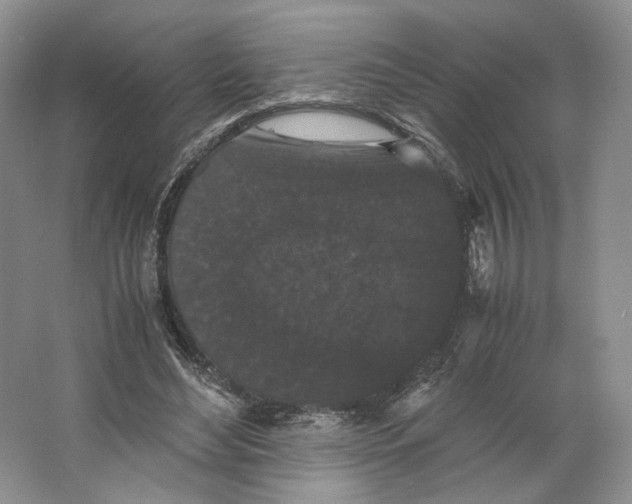 X0000063440492200602171834