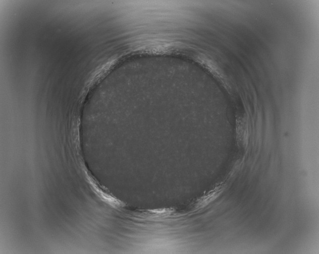 X0000063440493200602171834
