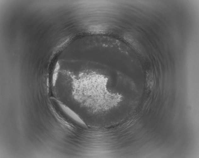 X0000063440494200602171834