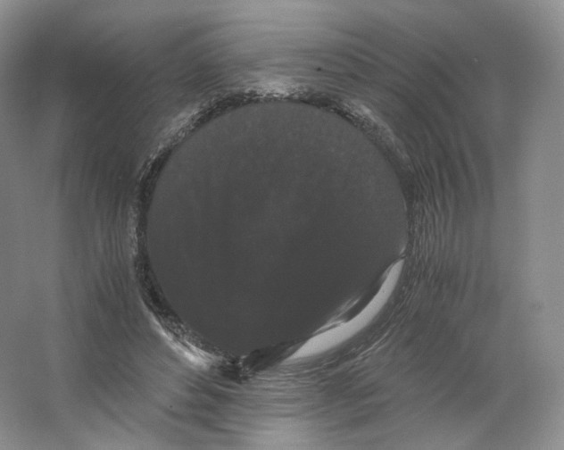 X0000063440496200602171834