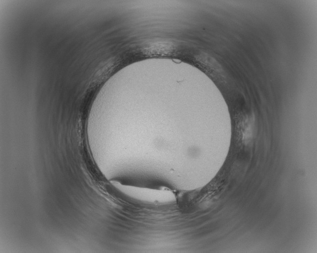 X0000063440498200602171834