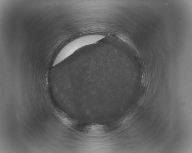 X0000063440501200602171834