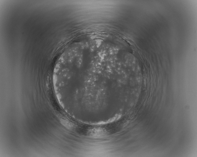 X0000063440503200602171834