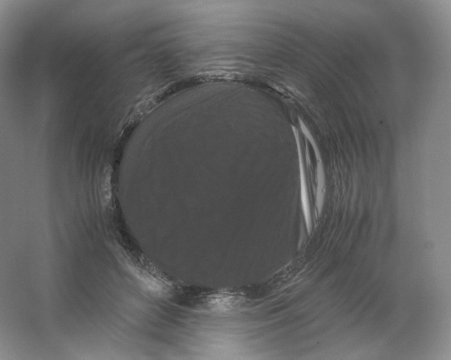 X0000063440504200602171834