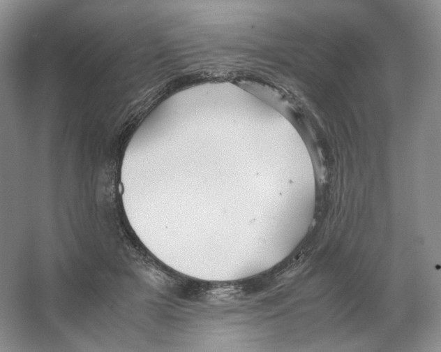 X0000063440505200602171834