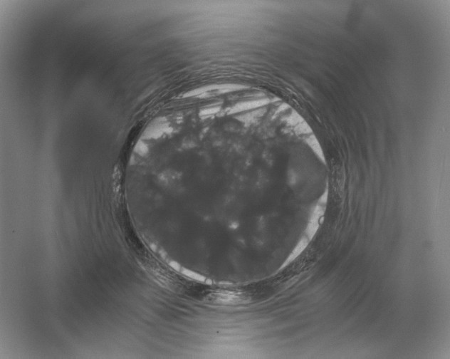 X0000063440507200602171834