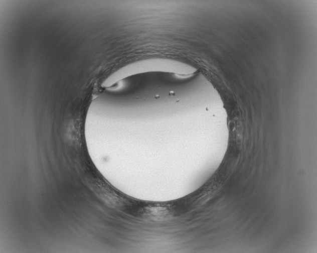 X0000063440509200602171834
