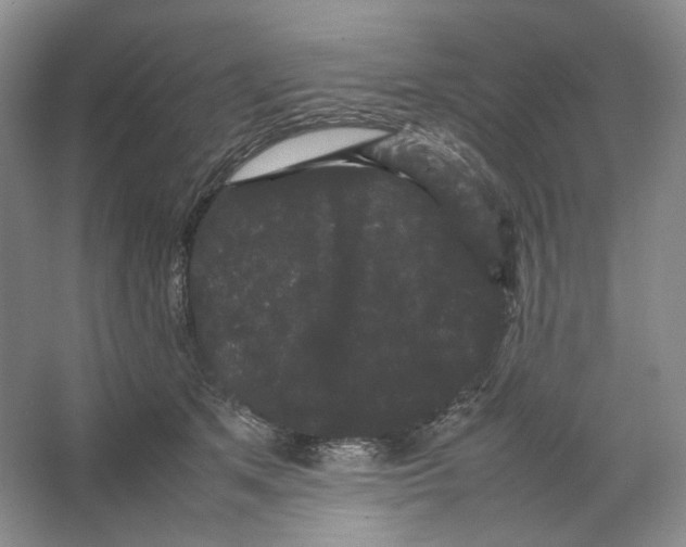 X0000063440513200602171834