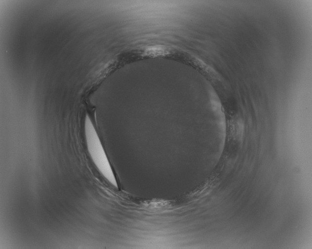 X0000063440517200602171834