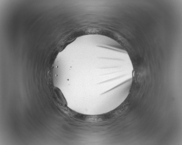 X0000063440521200602171834