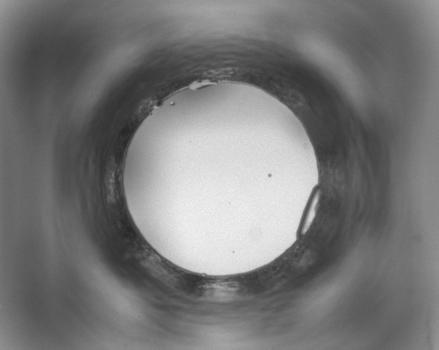 X0000063440525200602171834
