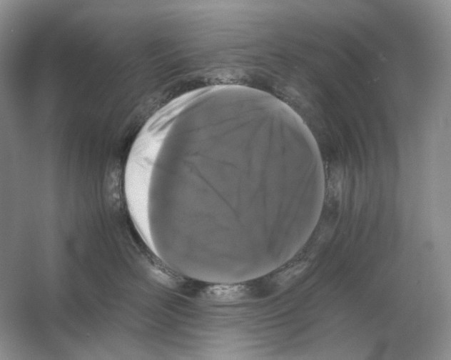 X0000063440526200602171834