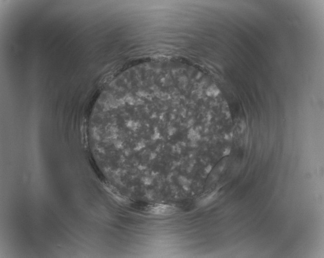 X0000063440527200602171834