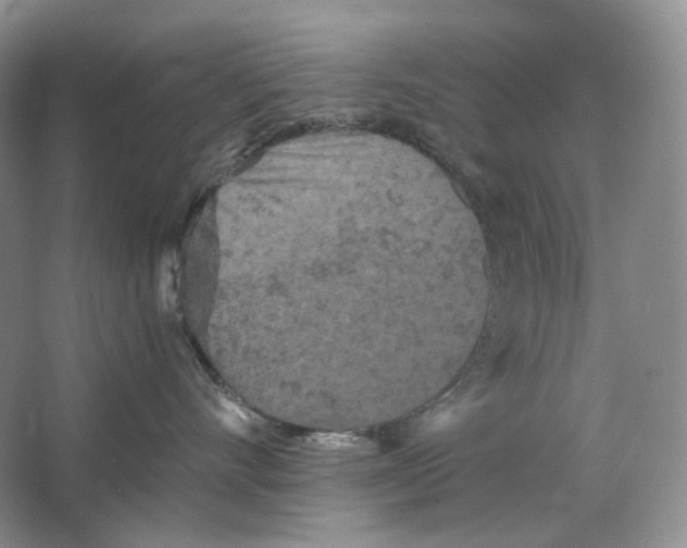 X0000063440528200602171834