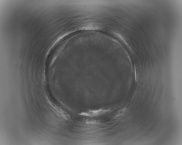 X0000063440531200602171833