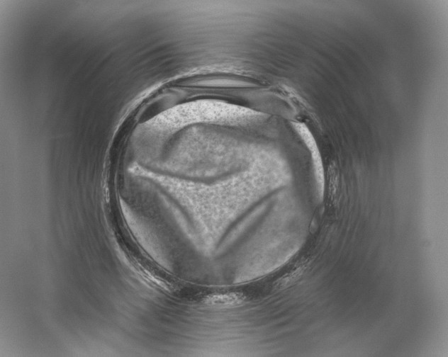 X0000063440536200602171833