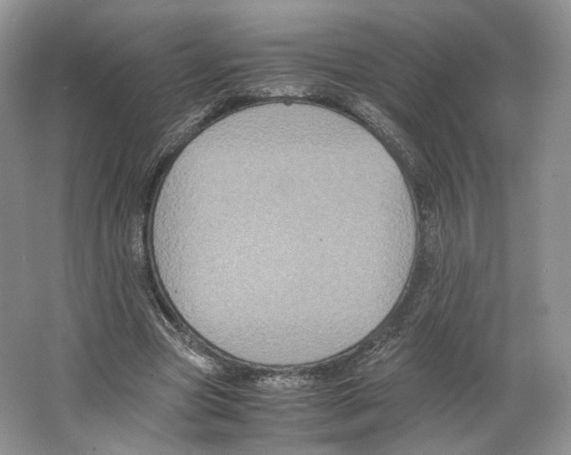 X0000063440537200602171833
